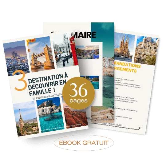 exemple ebook